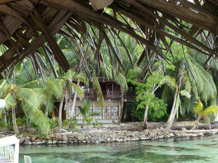 Click to See Next Image