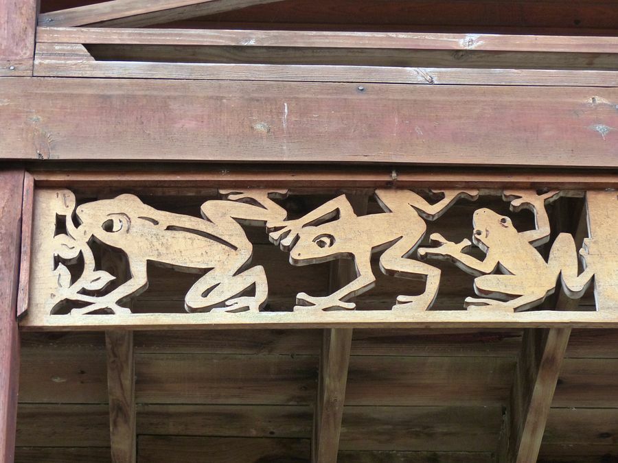 Click to See Next Image