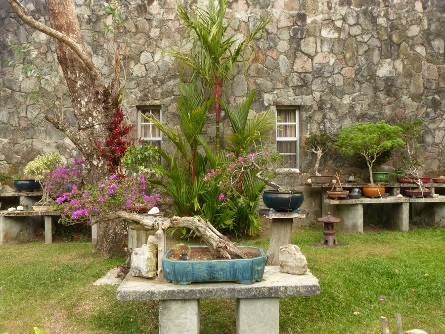 Click to See Next Image