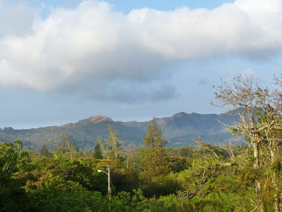 Click to See Next Image