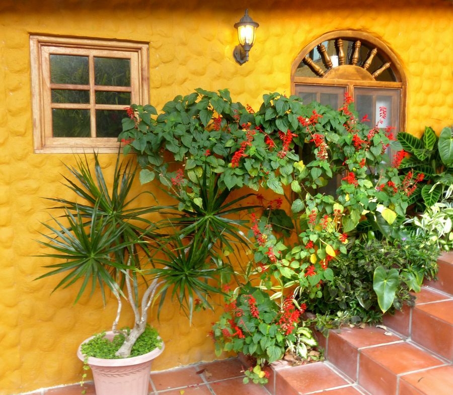 Click to See Next Image