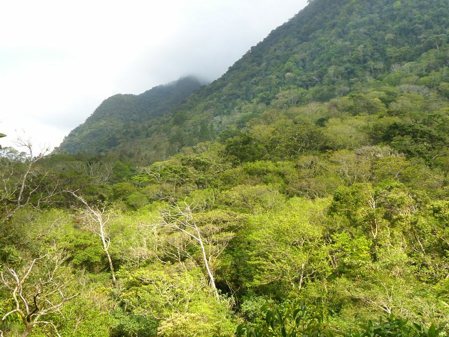 Click to See Next Image