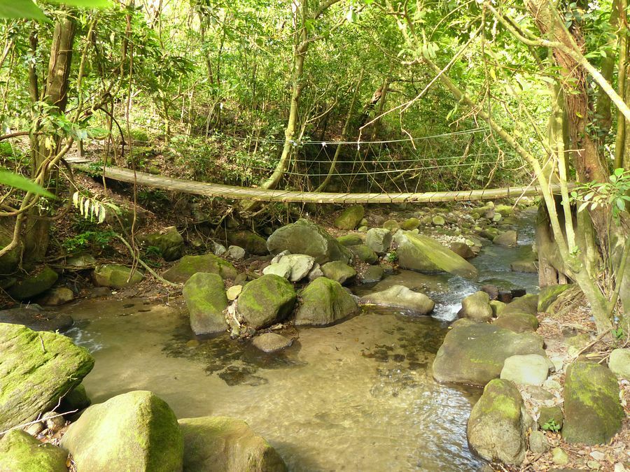 Click to See Next Image