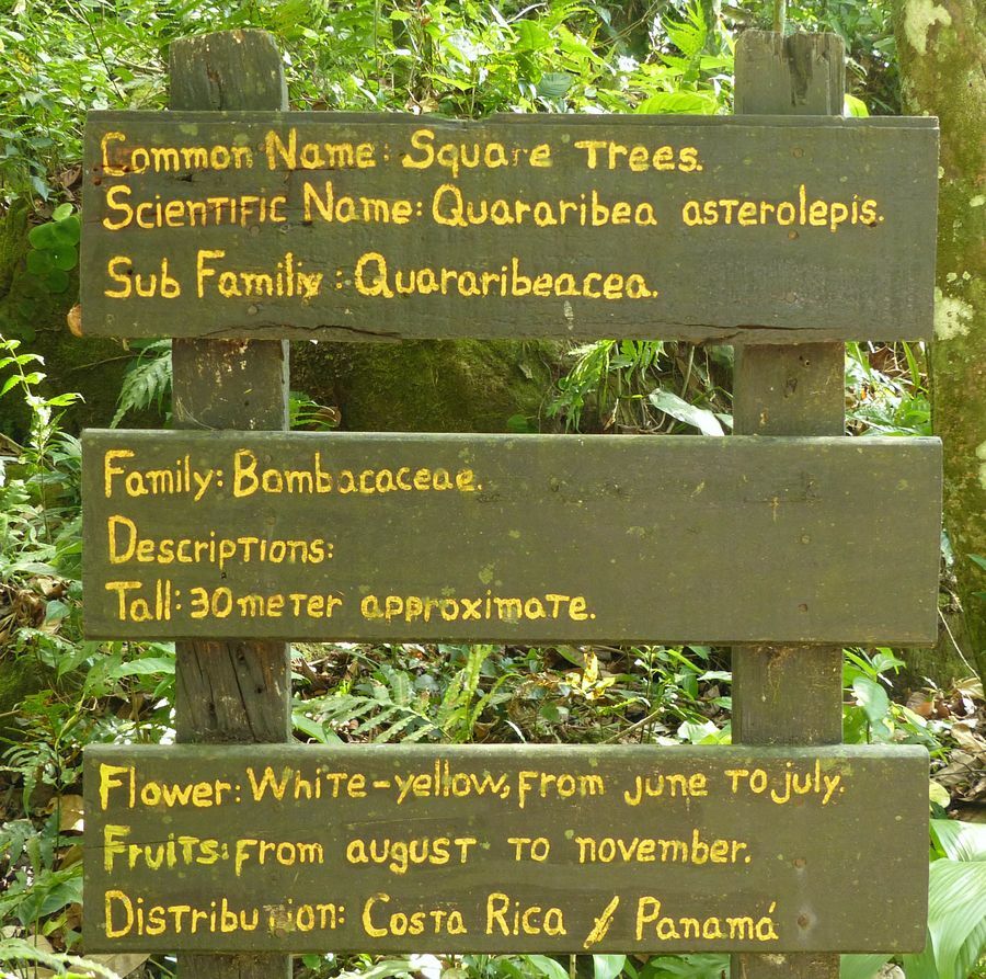 Click to See Next Image