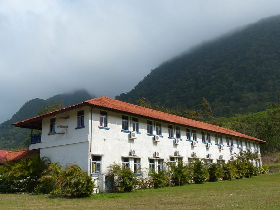 Click to See Next Image