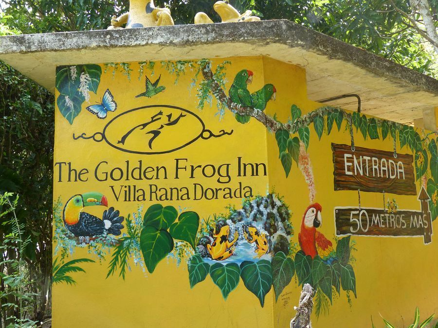 Click to See Next Image