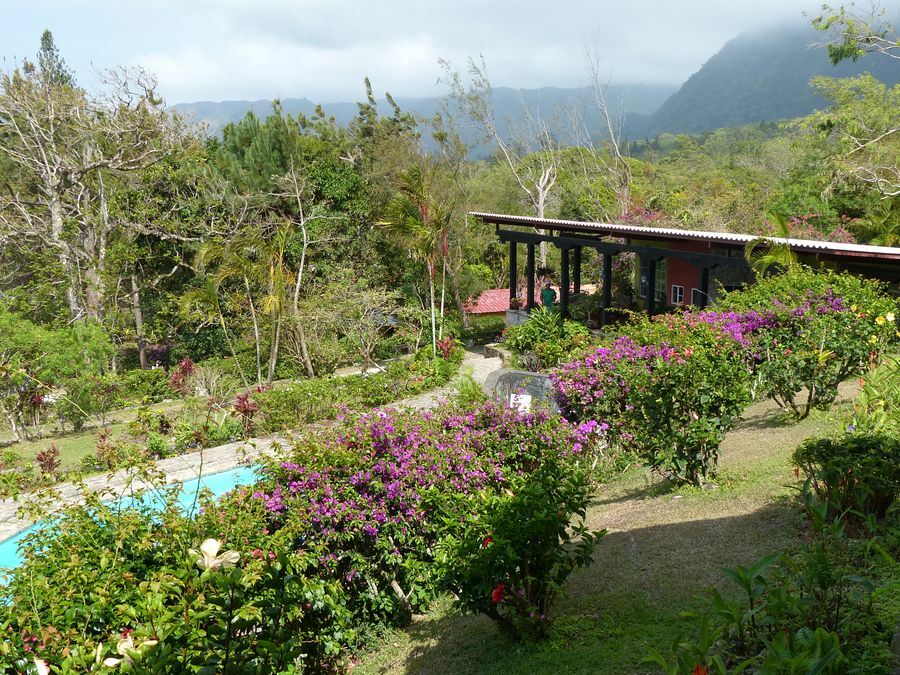 Click to See Next Image