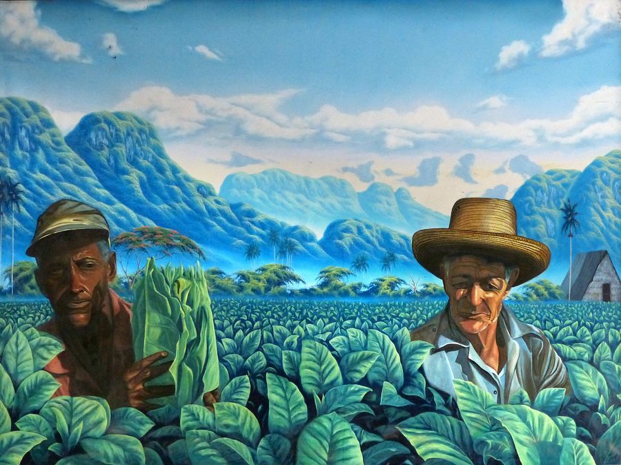 Click to See Next Image