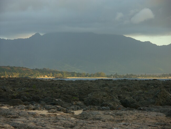 Click to See Next Image