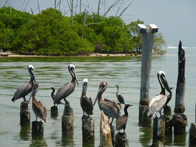 Click to See Next Image